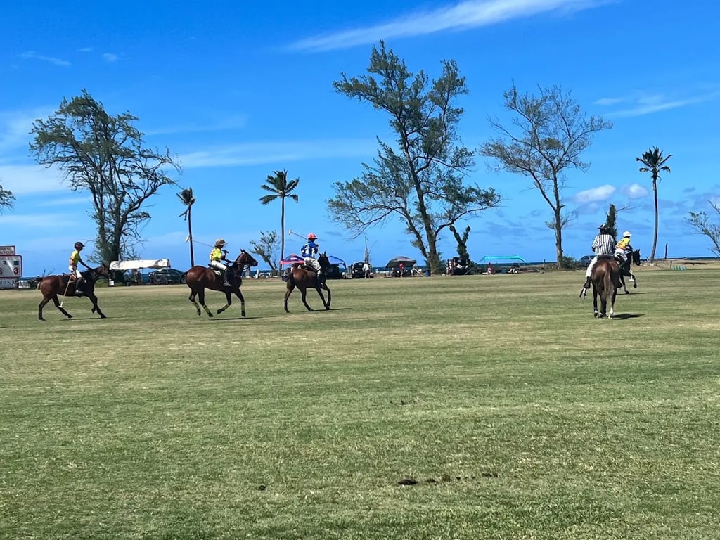 Hawaii Polo Club