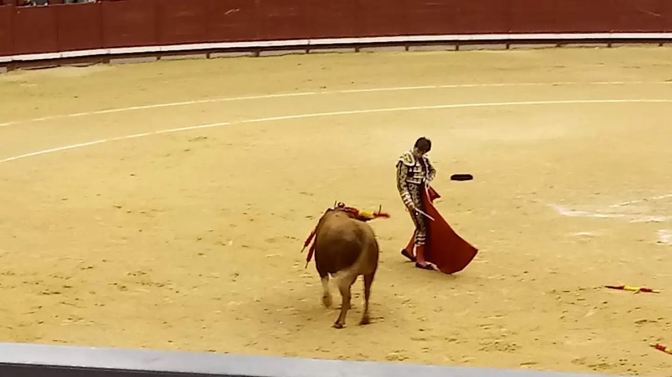 Plaza de Toros de Burgos