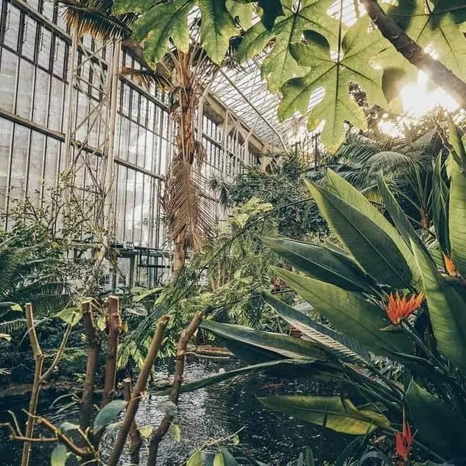Clerkenwell Conservatory