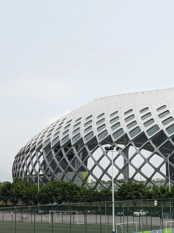 Shenzhen Bay Gymnasium