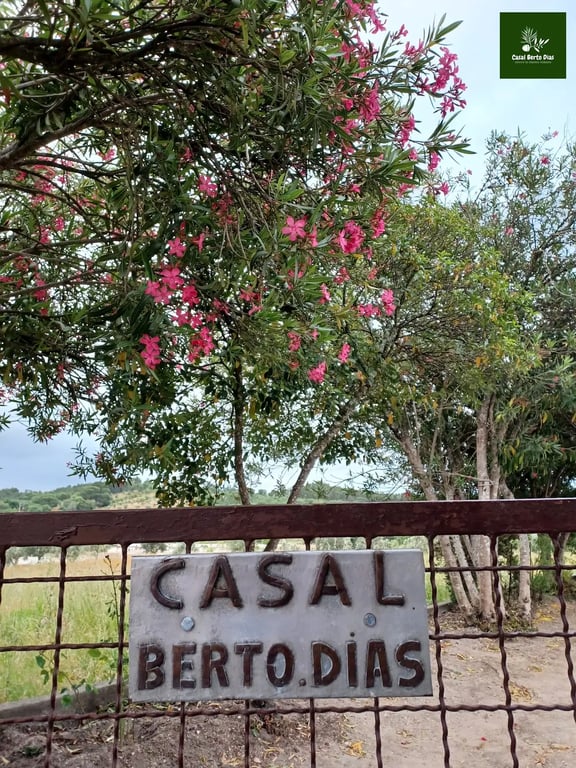 Conviver na charneca ribatejana