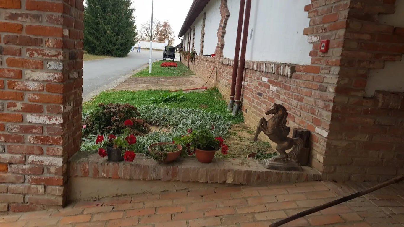 Višnjica