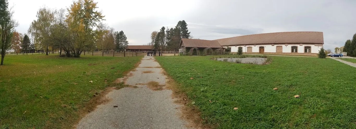 Višnjica