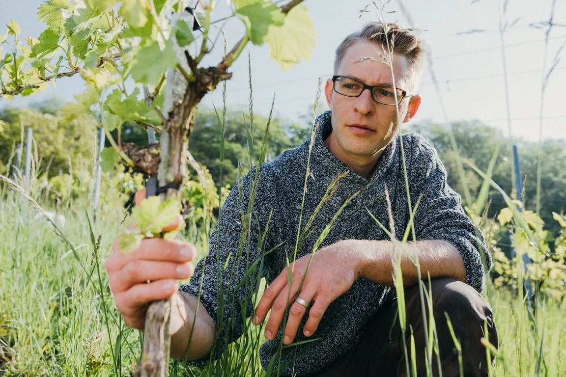 Weingut Albrecht Schwegler
