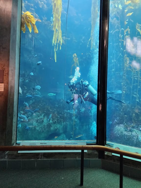 Monterey Bay Aquarium