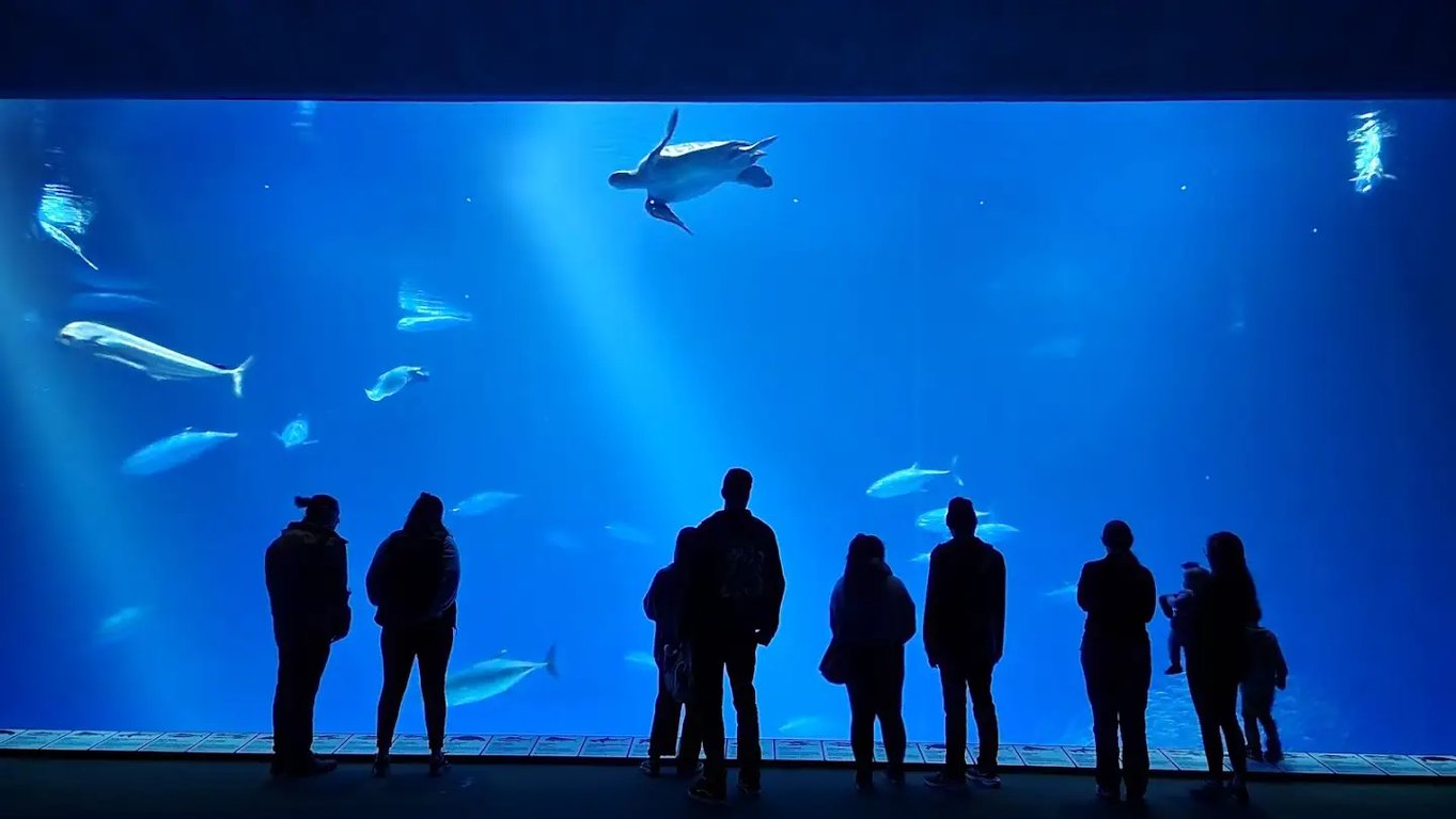 Monterey Bay Aquarium