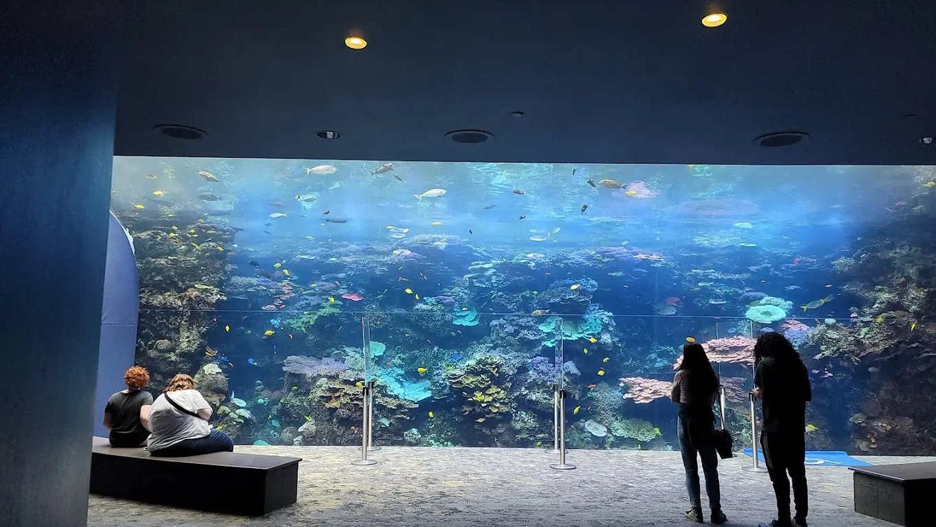 Georgia Aquarium