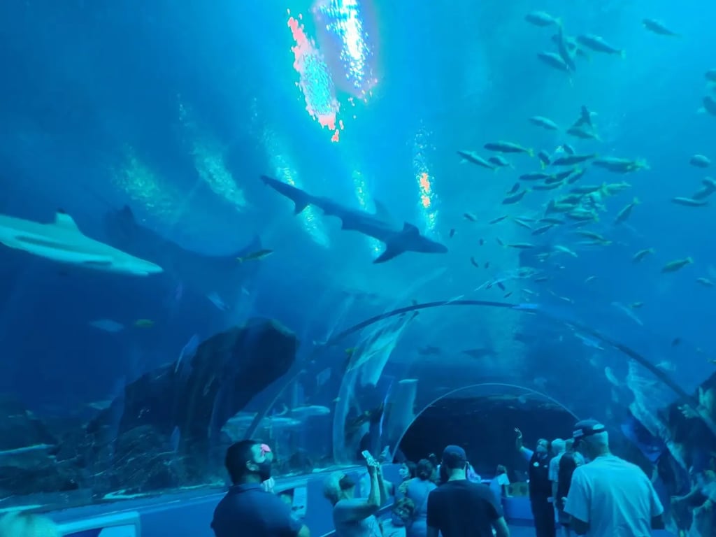 Georgia Aquarium