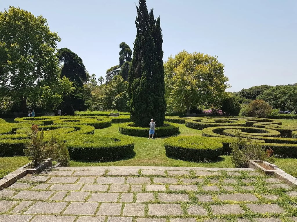 Modern Botanica