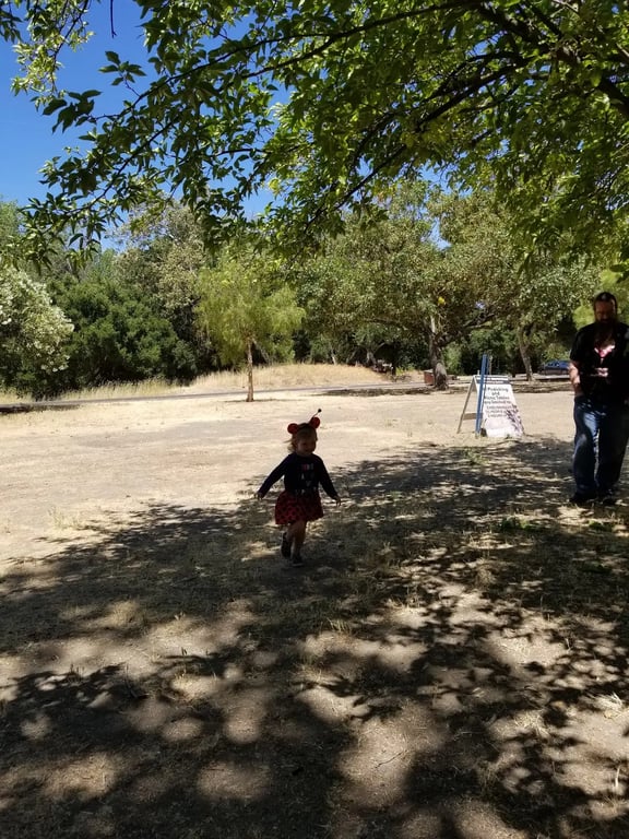 Hellyer Park Velodrome