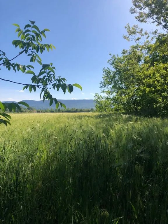 Bodor Major Lovas- és Szabadidőpark