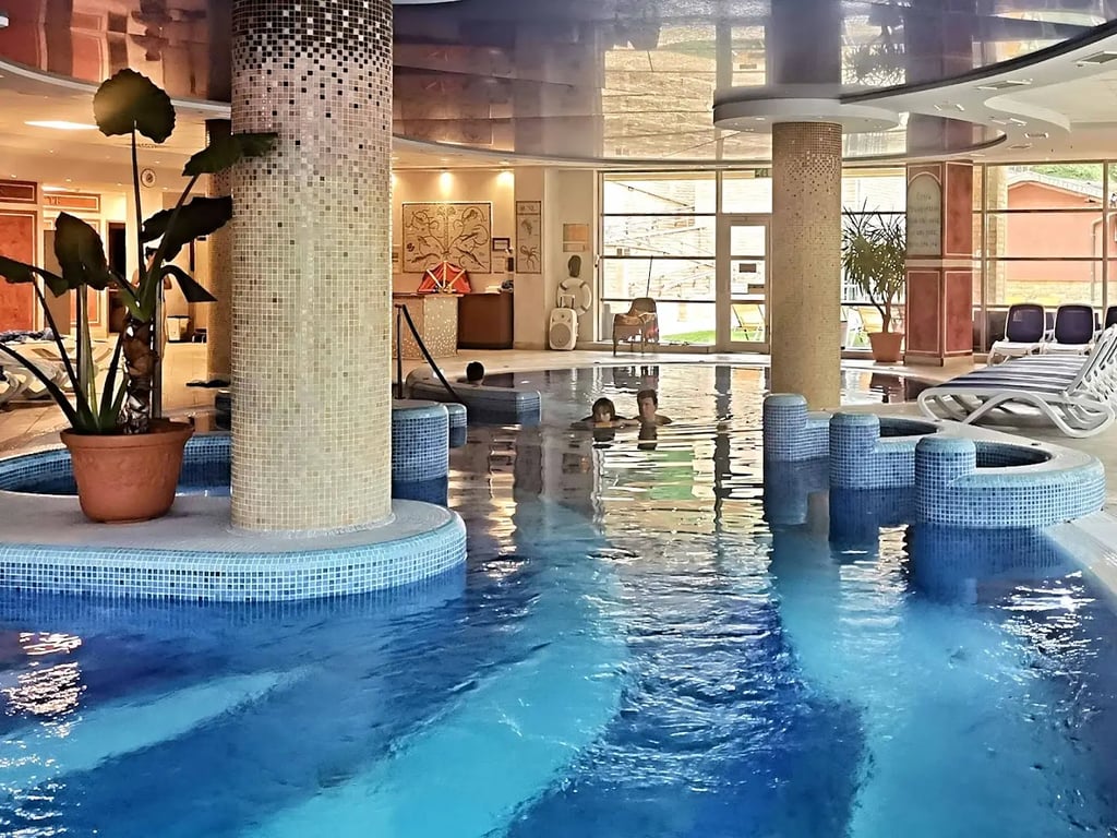 Thermal Hotel Visegrád