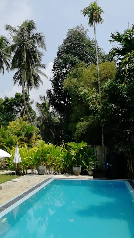 Plantation House