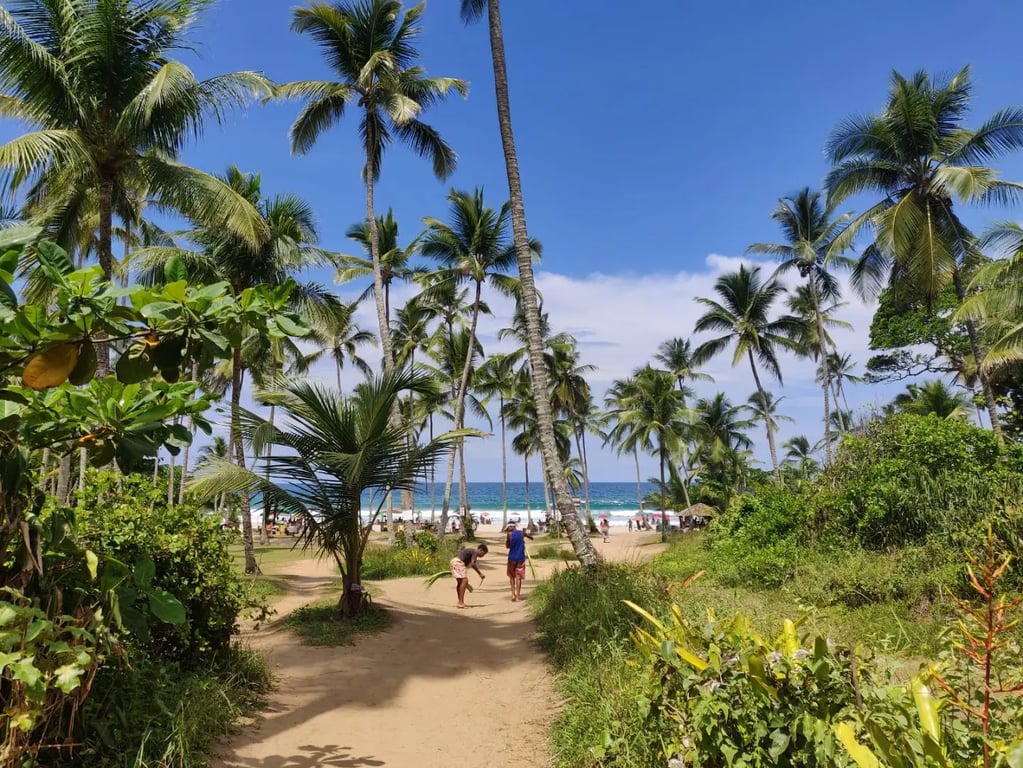 Bahia