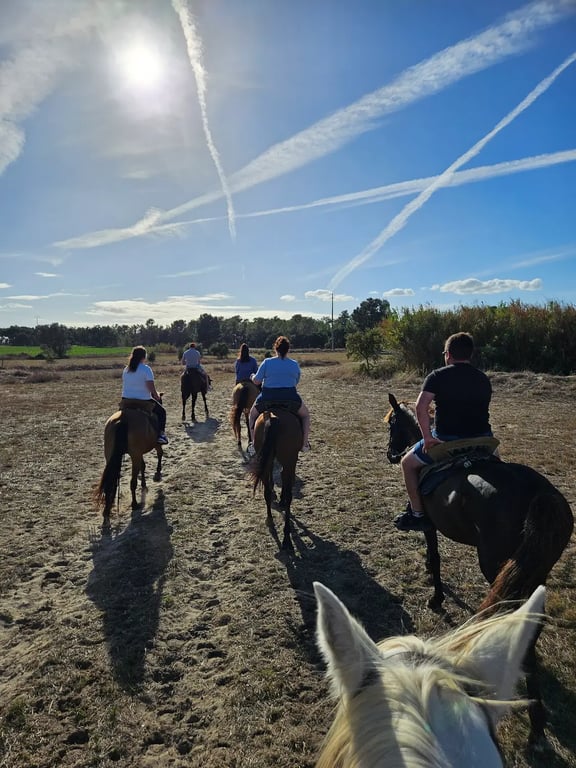 Andar a Cavalo