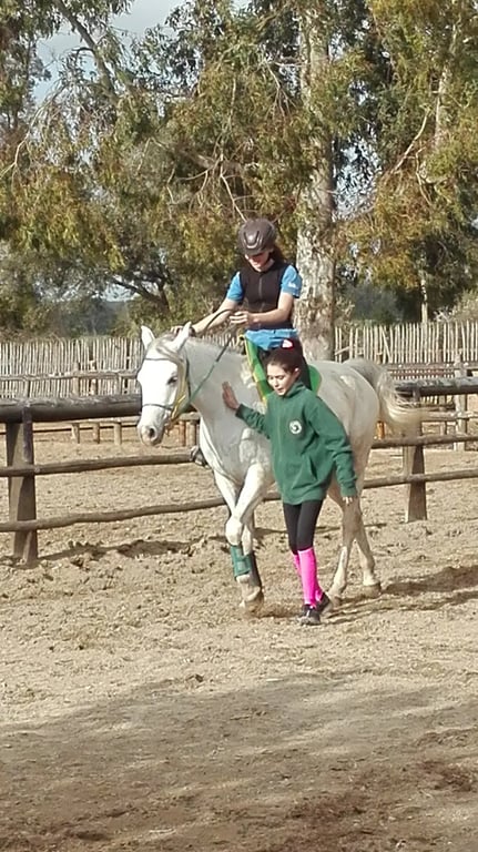Horseback