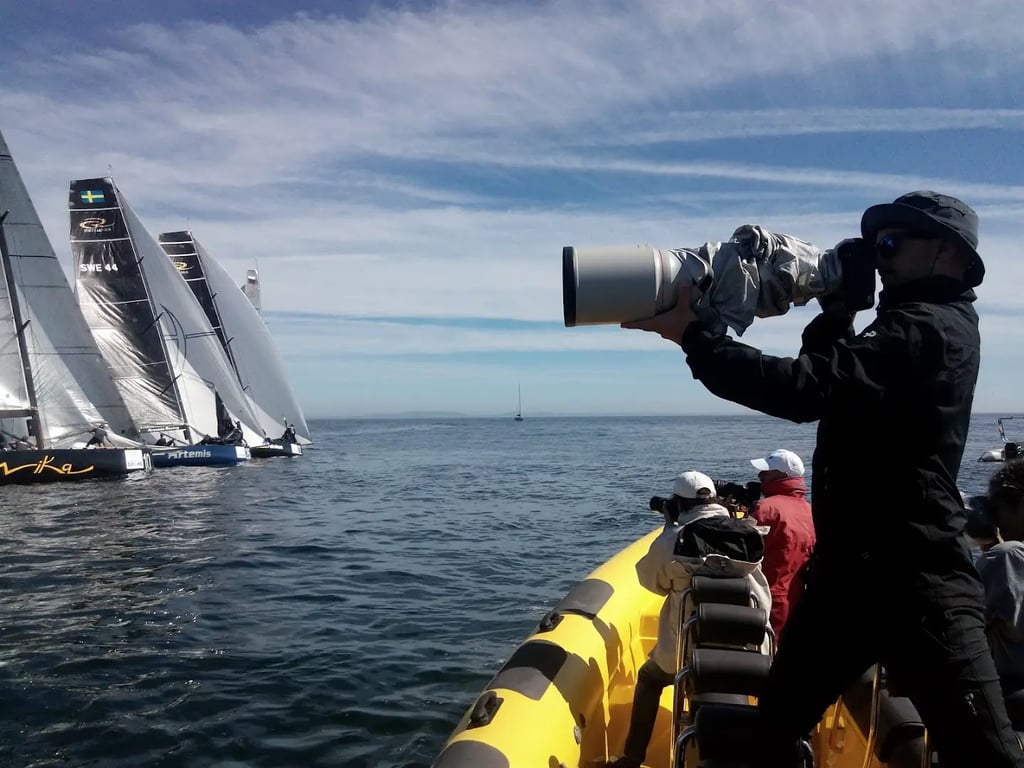 Seahawk's View