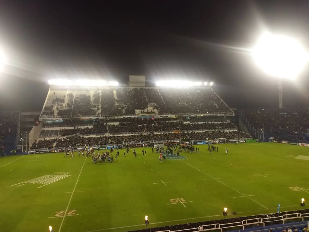 José Amalfitani Stadium