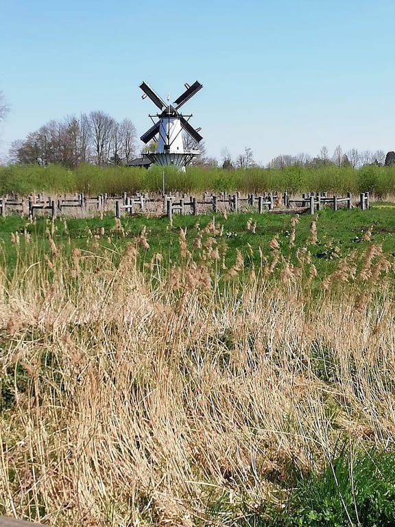 Heerlijkheid Mariënwaerdt