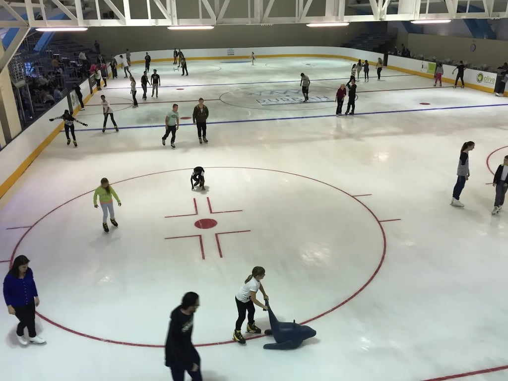 Ice Arena