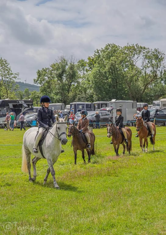 Dunmanway Agricultural Show Society