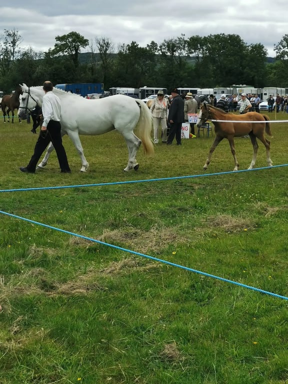 Dunmanway Agricultural Show Society