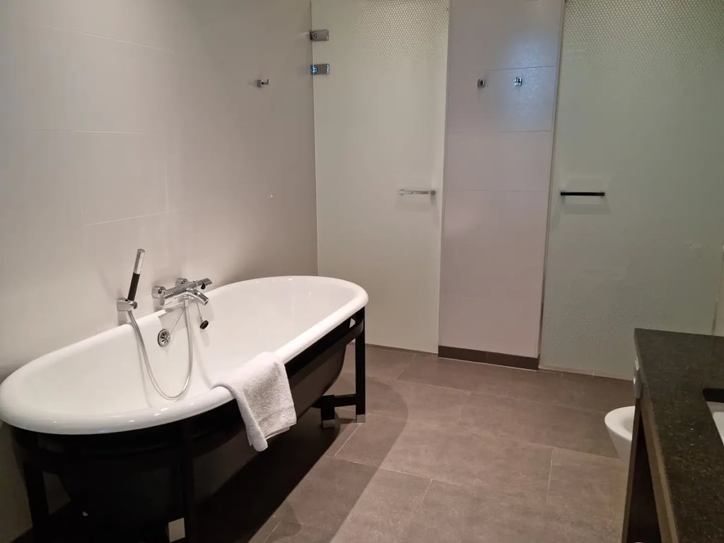 Hotel Dux