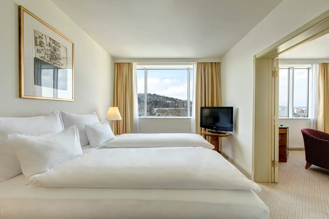 Hotel Lev