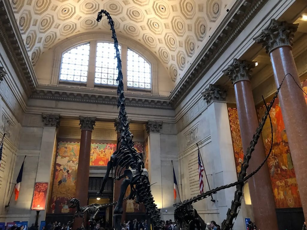 American Museum Of Natural History