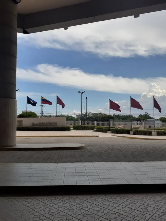 Palacio de Eventos de Venezuela