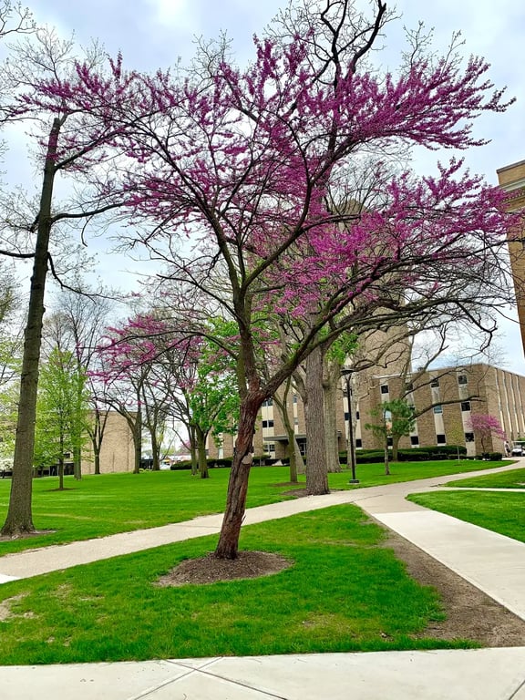 Stroitel Hall