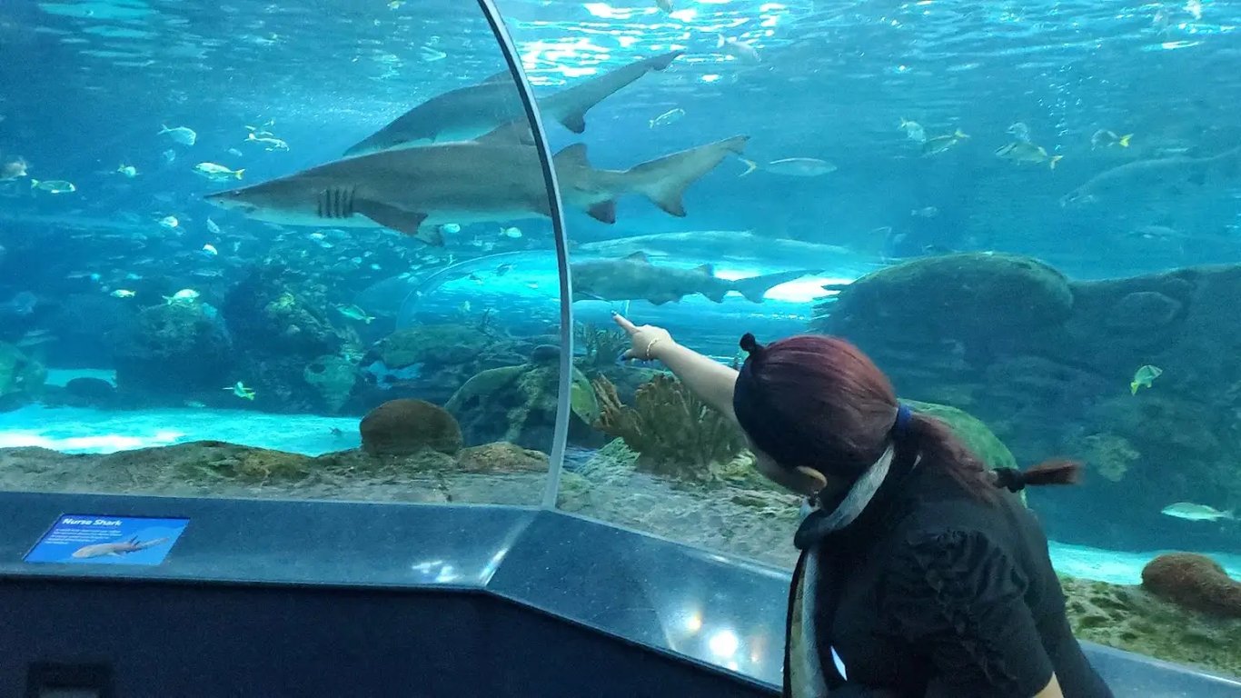 Ripley's Aquarium of Canada