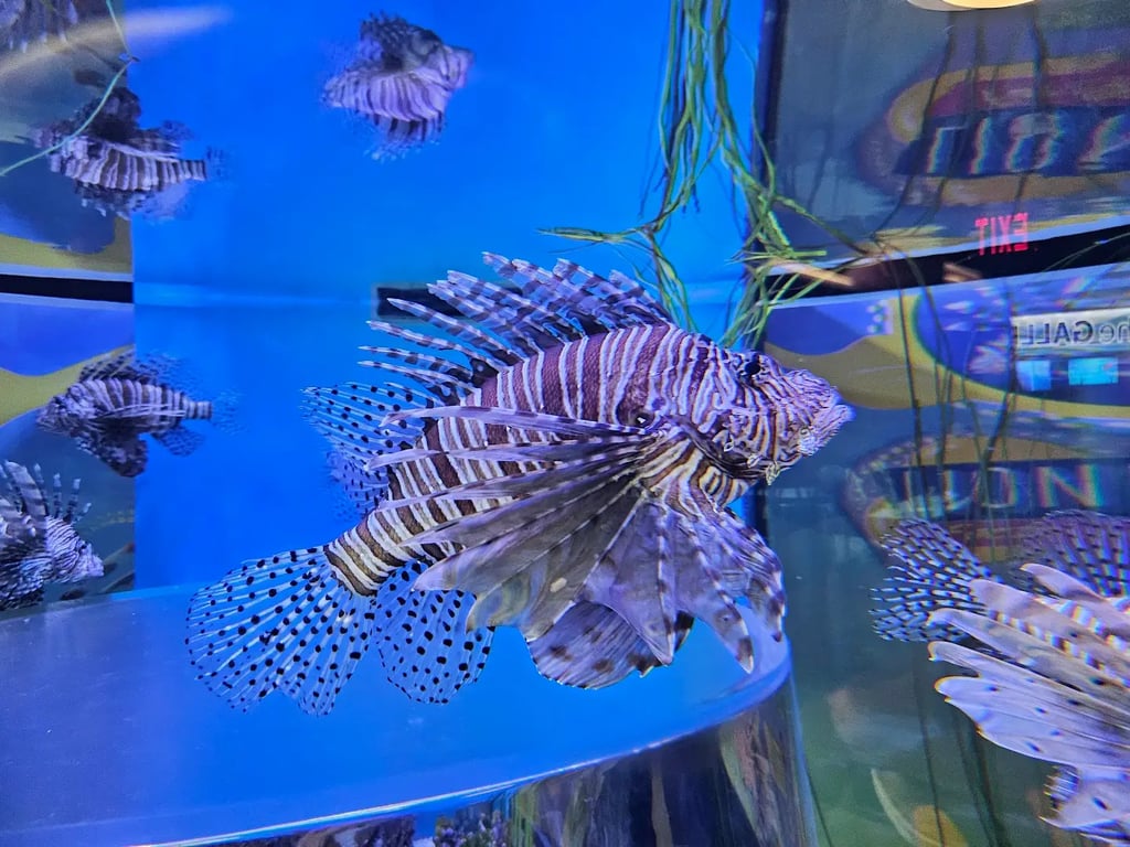 Ripley's Aquarium of Canada