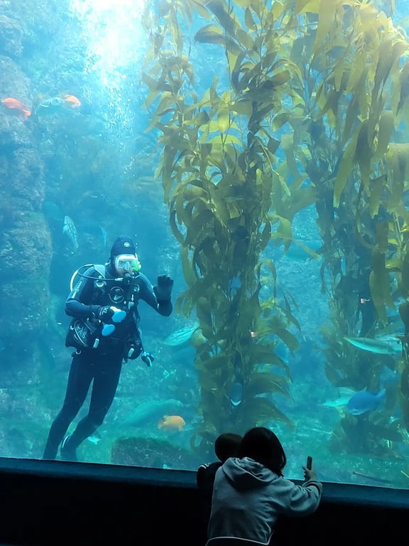 Birch Aquarium at Scripps