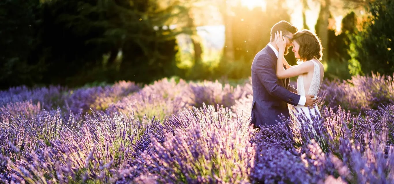 Woodinville Lavender
