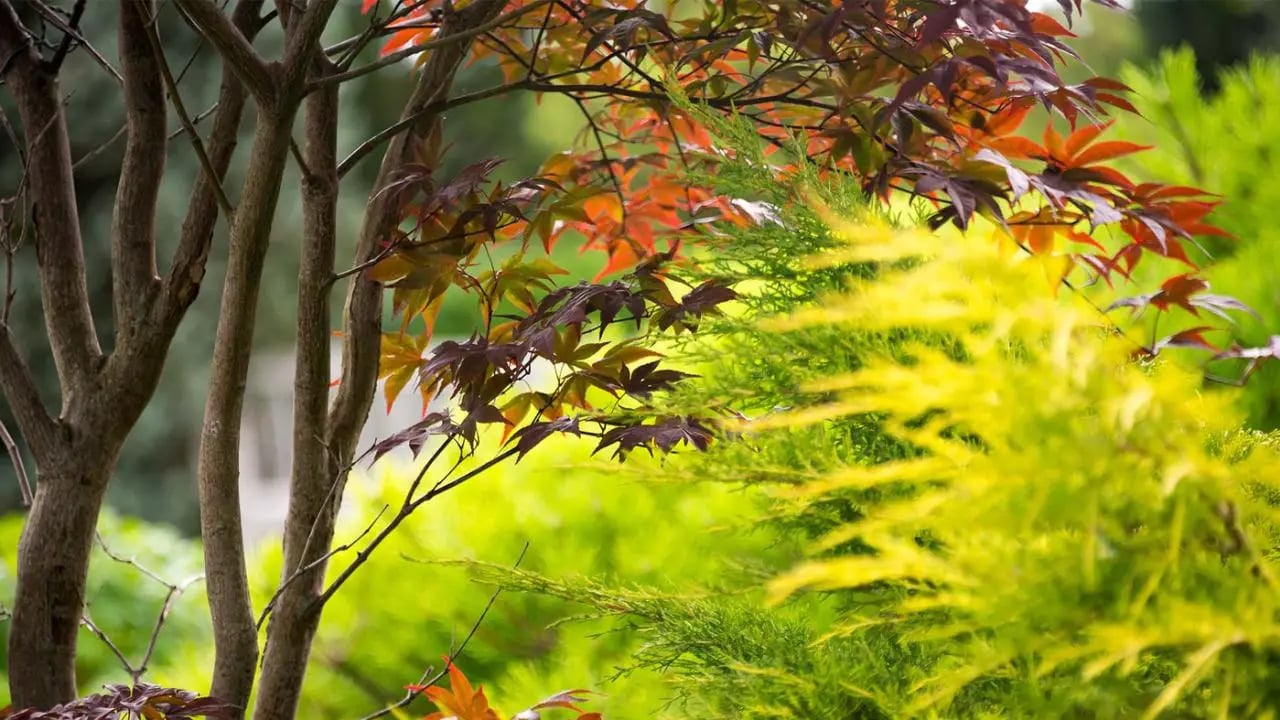 Chicago Botanic Garden
