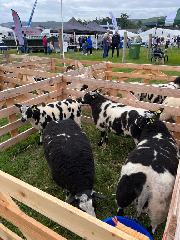 Clonmel Show