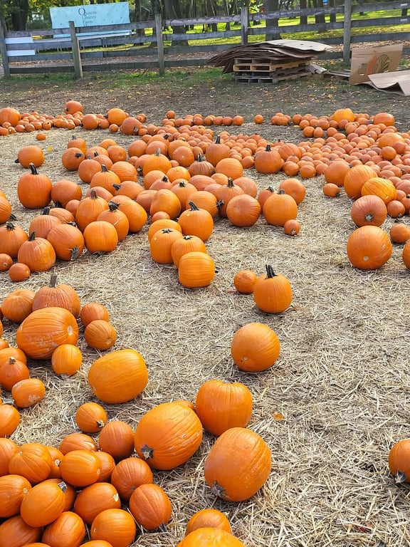 Queens County Farm Museum