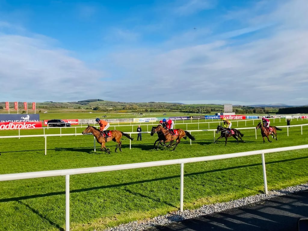 Punchestown Racecourse