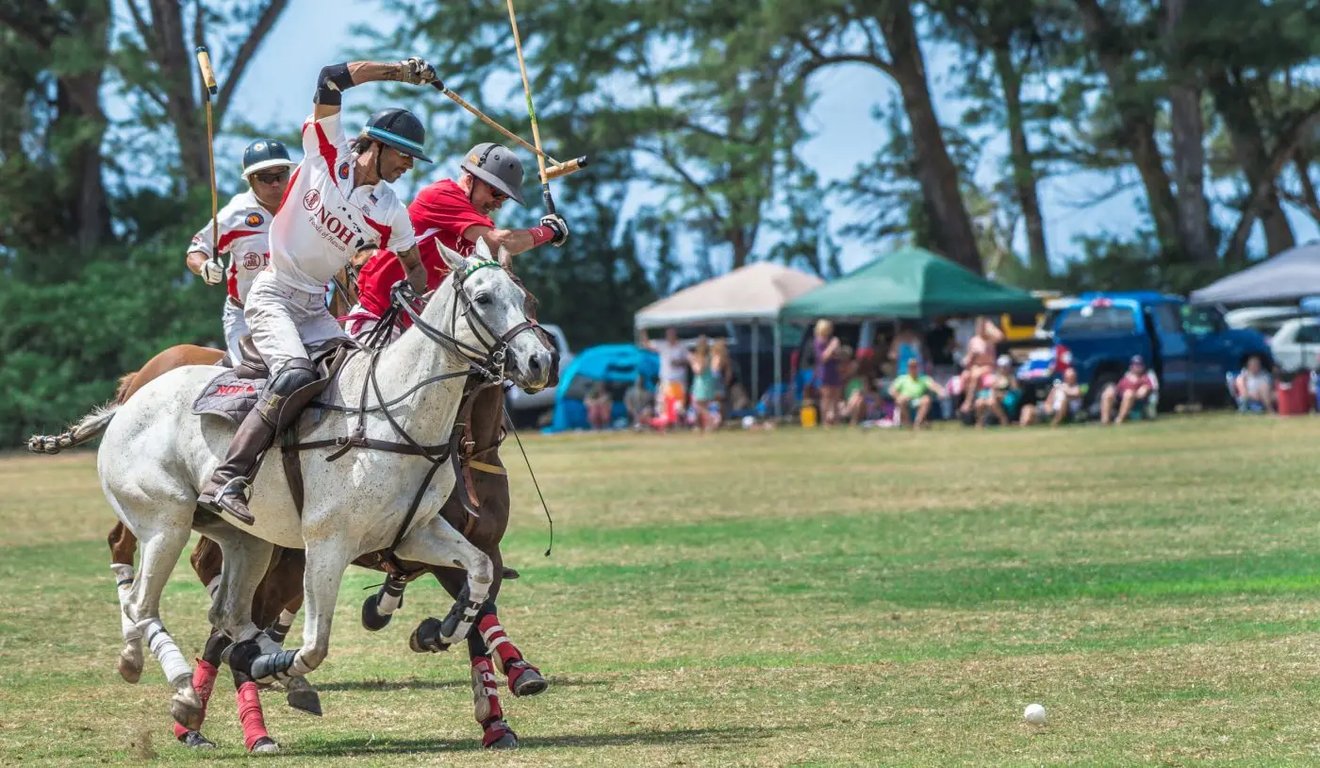 Hawaii Polo Club