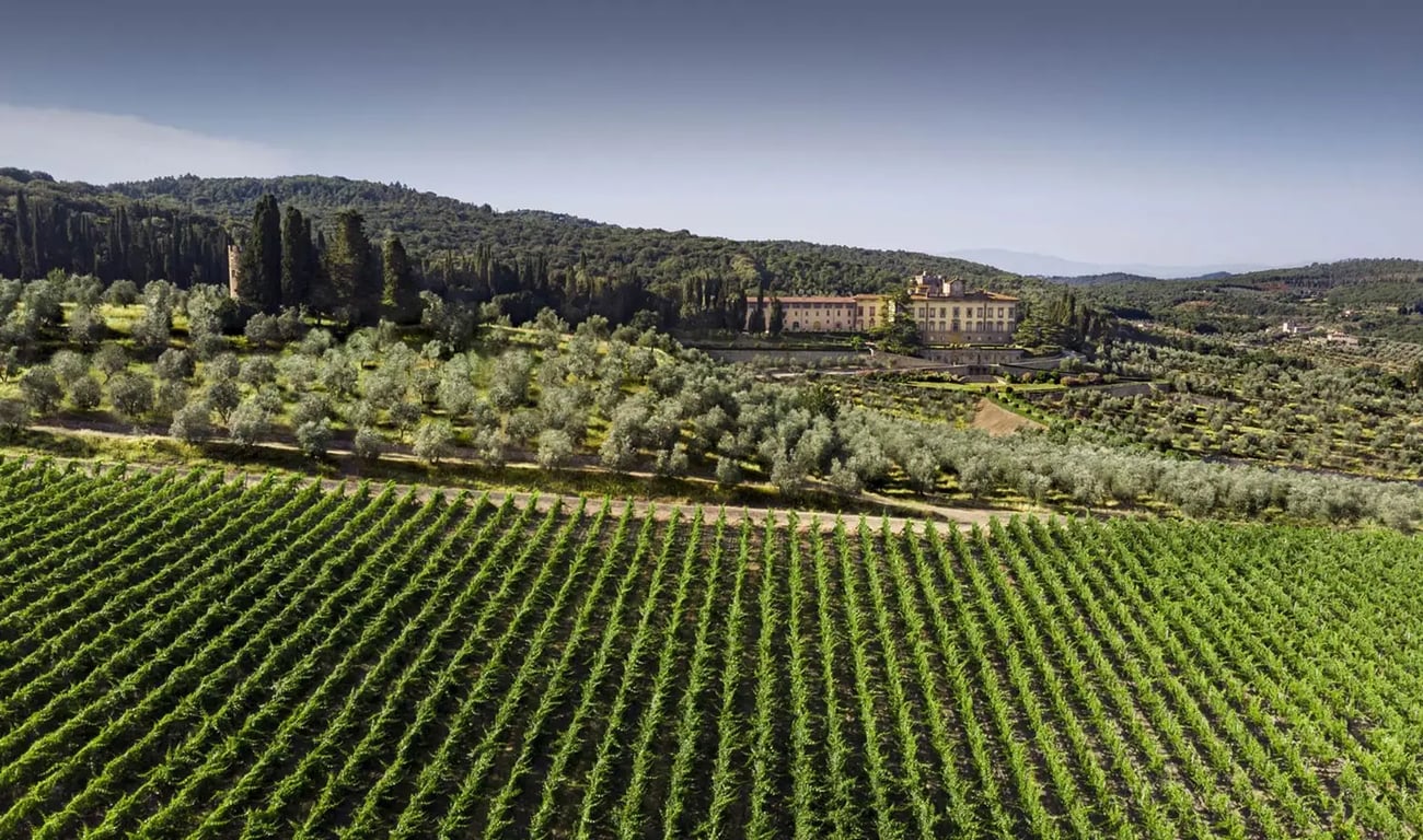 Torre a Cona Wine Estate