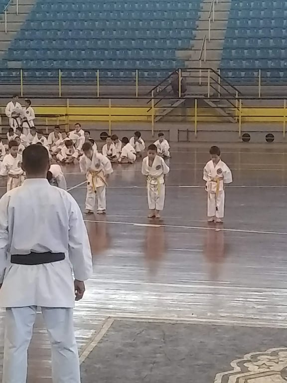 Gimnasio Campeones Mundiales del 97