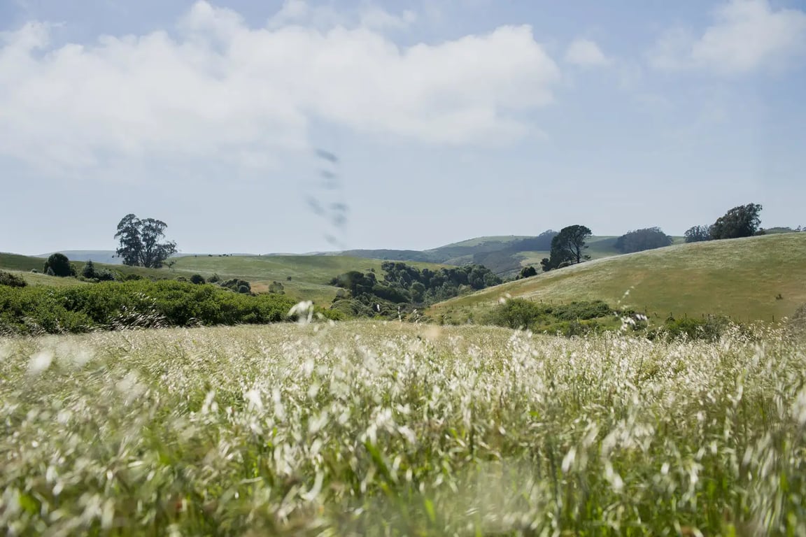 The Haven at Tomales