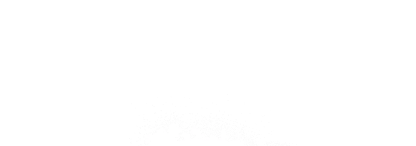 Platform