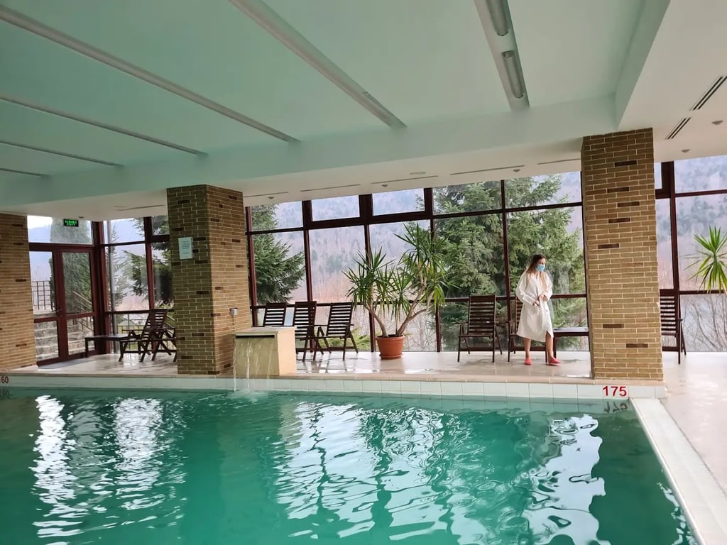 Hotel Valea cu Pesti