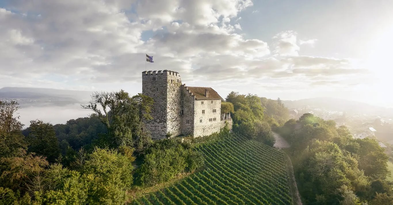 Habsburg Castle