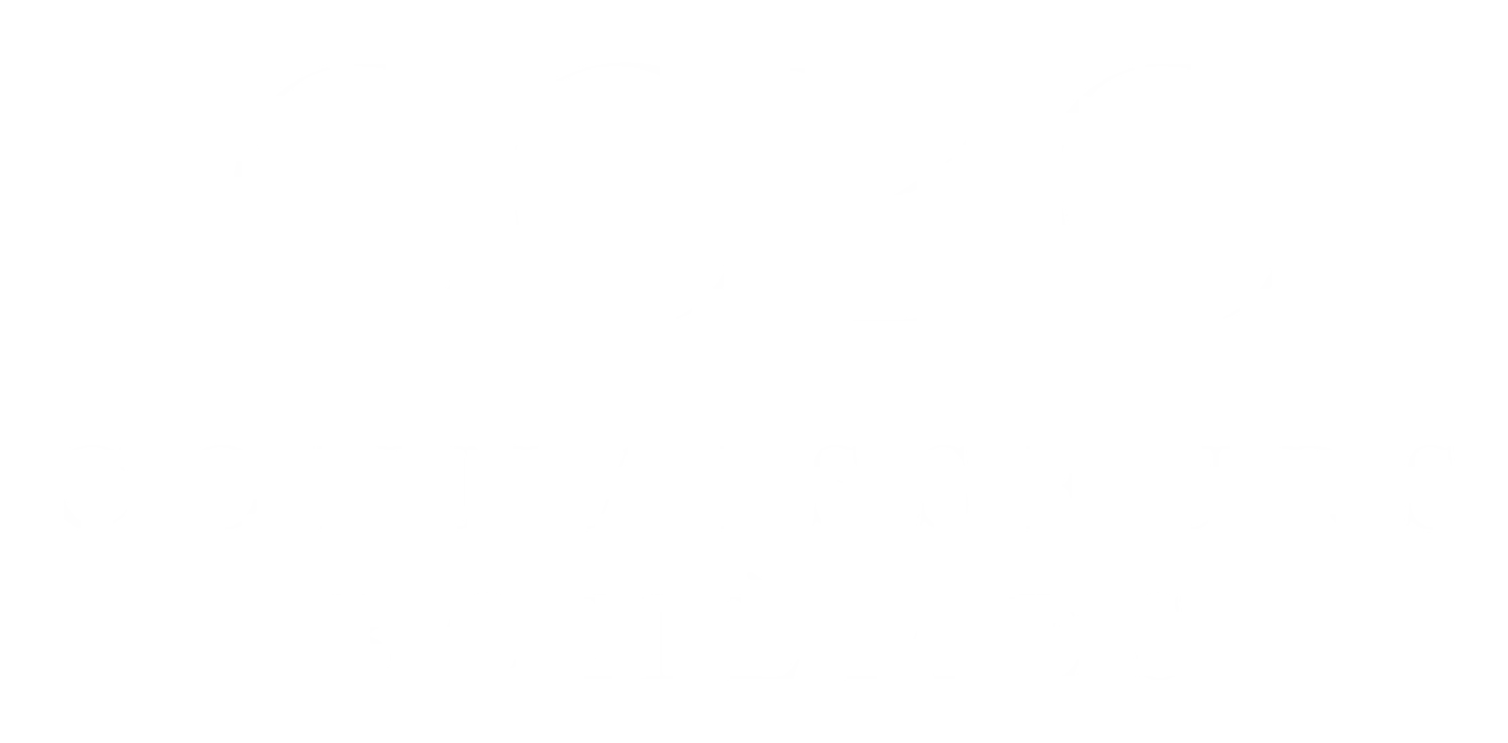 Cobo Holding bv