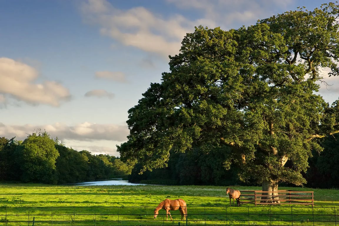 Castlemartyr Resort Hotel