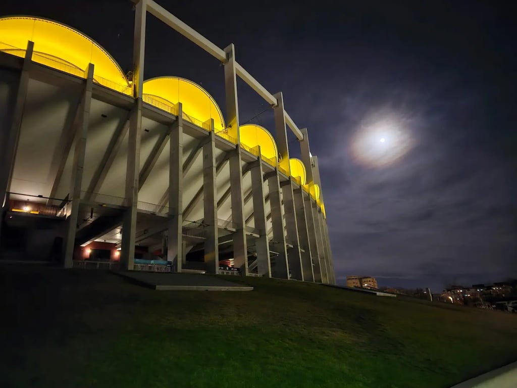 Arena Națională