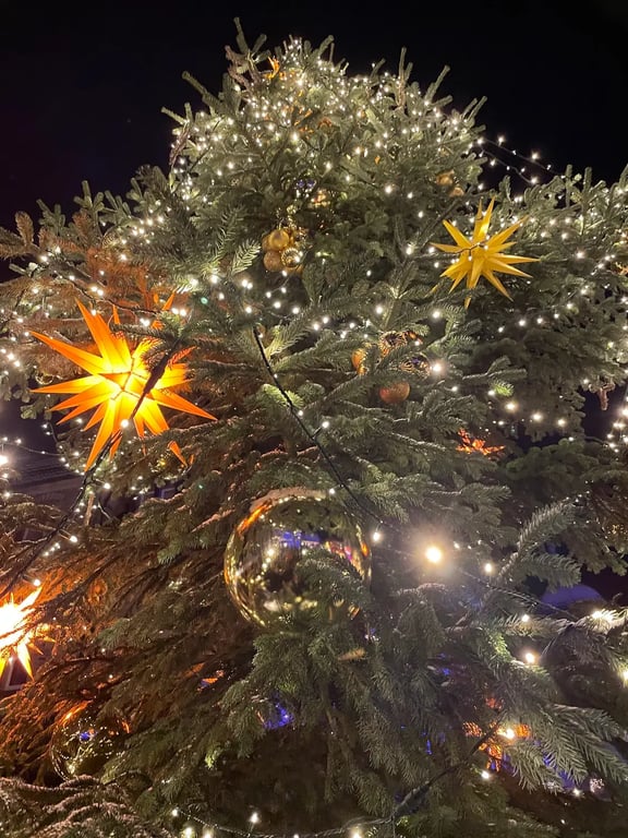 Weihnachtszauber Schloss Bückeburg